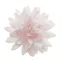 Hostie/Wafel bloemen - Dekora : Soort bloem en blad:Autumn daisy in pink